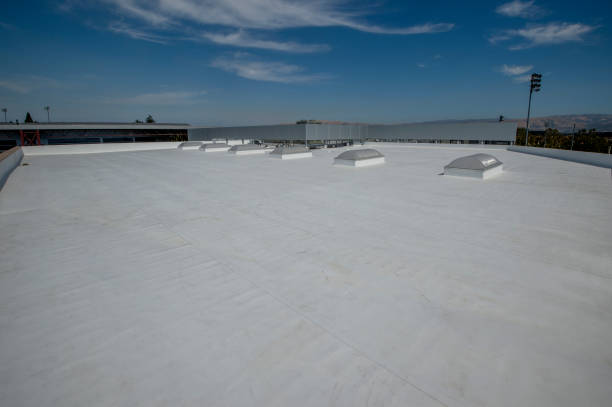 Best Asphalt Shingle Roofing  in Bourbonnais, IL