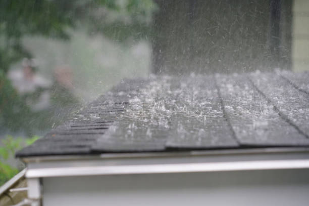 Best Roof Insulation Installation  in Bourbonnais, IL