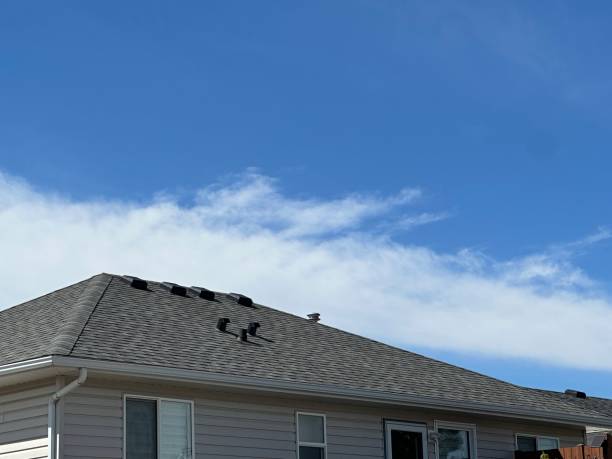 4 Ply Roofing in Bourbonnais, IL